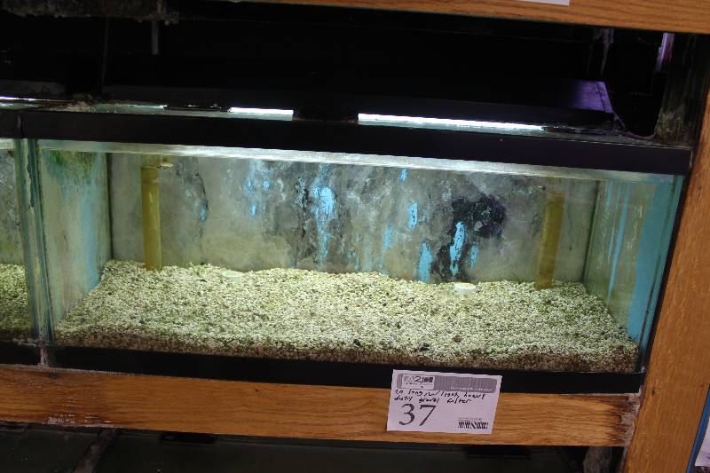 lot 37 image: 20-Gallon Long Aquarium w Glass top, 30 Light, Under-gravel Filter.  Note  No gravel.