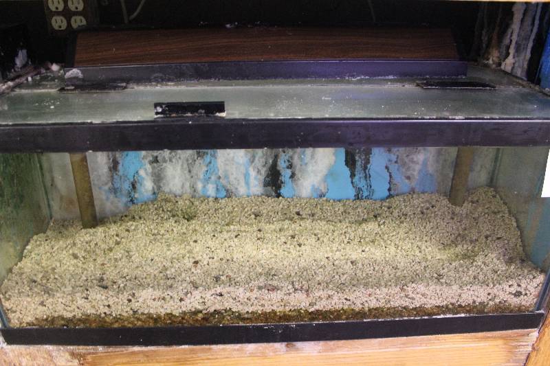 lot 39 image: 20-Gallon Long Aquarium w Glass top, 30 Light, Under-gravel Filter.  Note  No gravel.