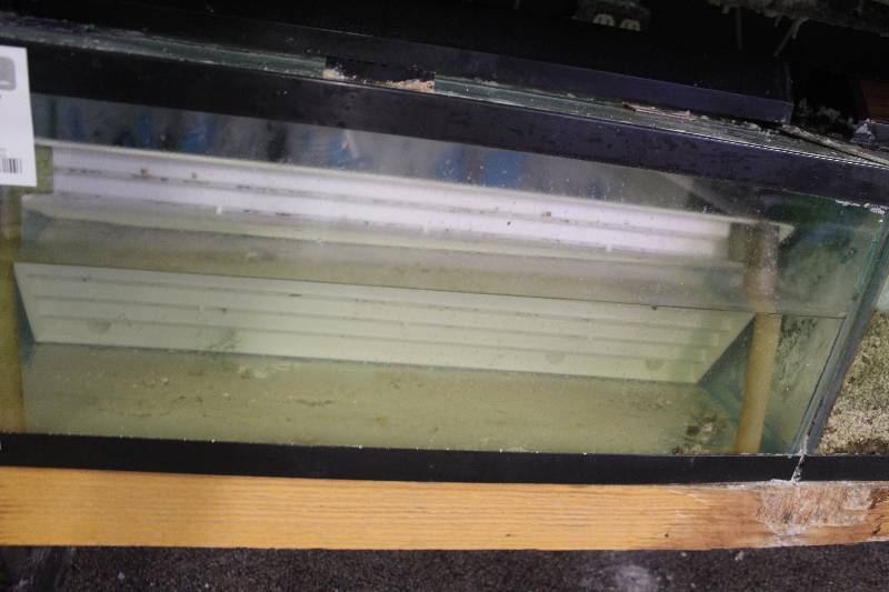 lot 40 image: 20-Gallon Long Aquarium w Glass top, 30 Light, Under-gravel Filter.  Note  No gravel.