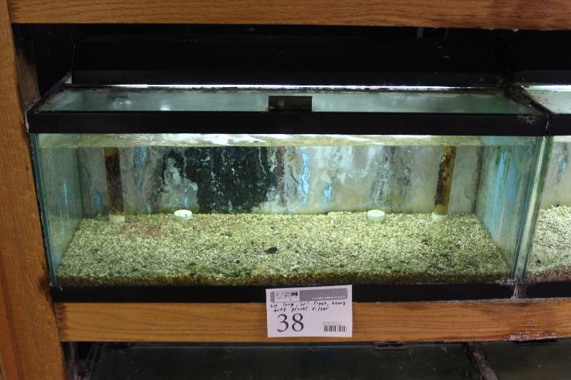 lot 38 image: 20-Gallon Long Aquarium w Glass top, 30 Light, Under-gravel Filter.  Note  No gravel.