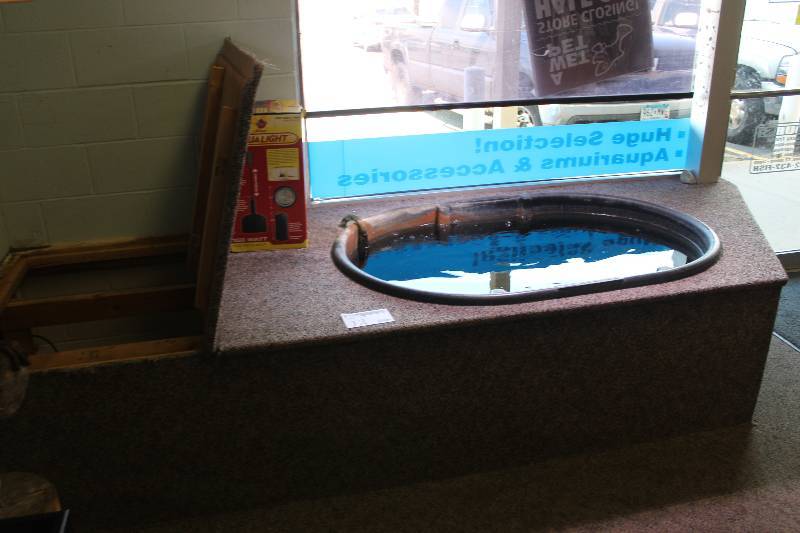 lot 12 image: Pond Kit Includes 150-Gallon Trough, Little Giant Pump, Lifeguard Mechanical Filter