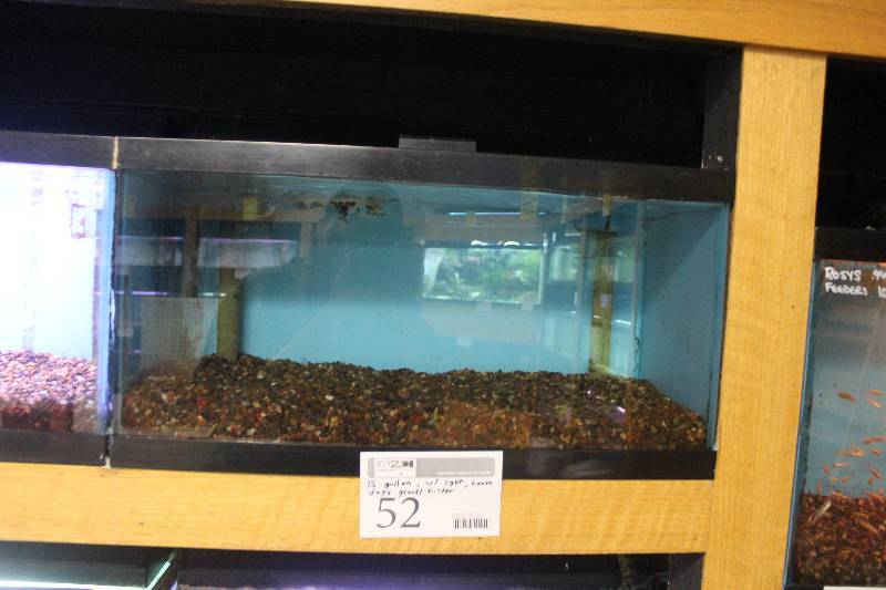 lot 52 image: 15-Gallon Aquarium w Glass top, Light, Under-gravel Filter, and Gravel