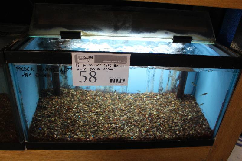 lot 58 image: 15-Gallon Aquarium w Glass top, Light, Under-gravel Filter, and Gravel