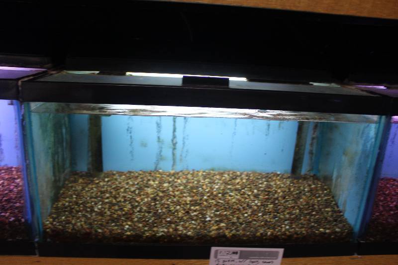 lot 56 image: 15-Gallon Aquarium w Glass top, Light, Under-gravel Filter, and Gravel