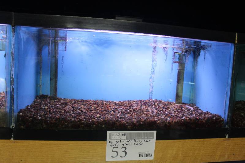 lot 53 image: 15-Gallon Aquarium w Glass top, Light, Under-gravel Filter, and Gravel