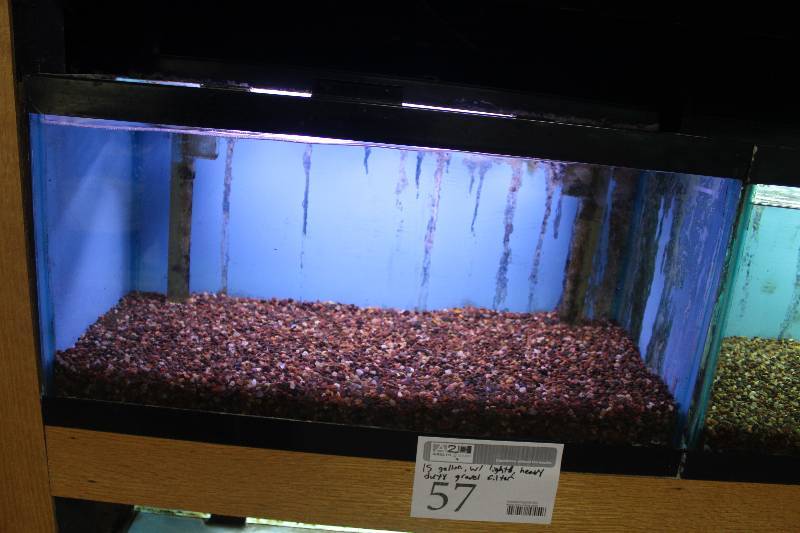 lot 57 image: 15-Gallon Aquarium w Glass top, Light, Under-gravel Filter, and Gravel