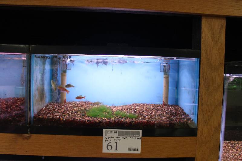 lot 61 image: 15-Gallon Aquarium w Glass top, Light, Under-gravel Filter, and Gravel