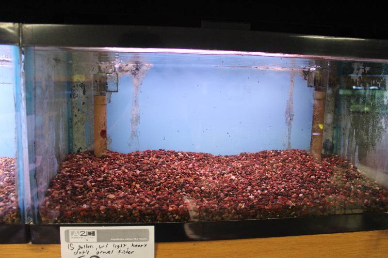 lot 62 image: 15-Gallon Aquarium w Glass top, Light, Under-gravel Filter, and Gravel