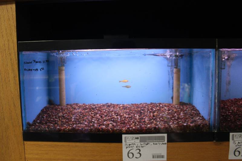 lot 63 image: 15-Gallon Aquarium w Glass top, Light, Under-gravel Filter, and Gravel