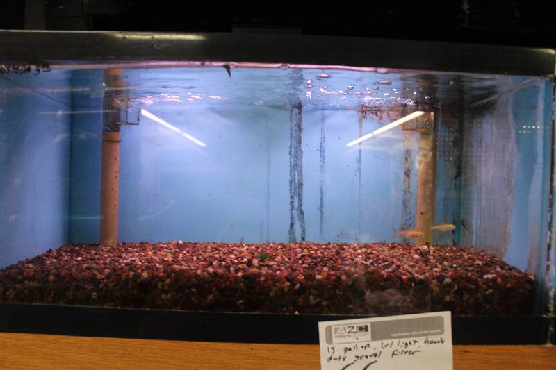 lot 66 image: 15-Gallon Aquarium w Glass top, Light, Under-gravel Filter, and Gravel