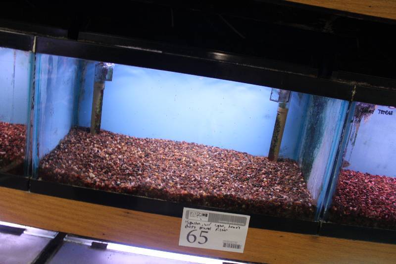 lot 65 image: 15-Gallon Aquarium w Glass top, Light, Under-gravel Filter, and Gravel