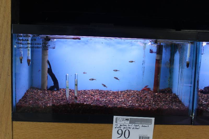 lot 90 image: 15-Gallon Aquarium w Glass top, Light, Under-gravel Filter, and Gravel