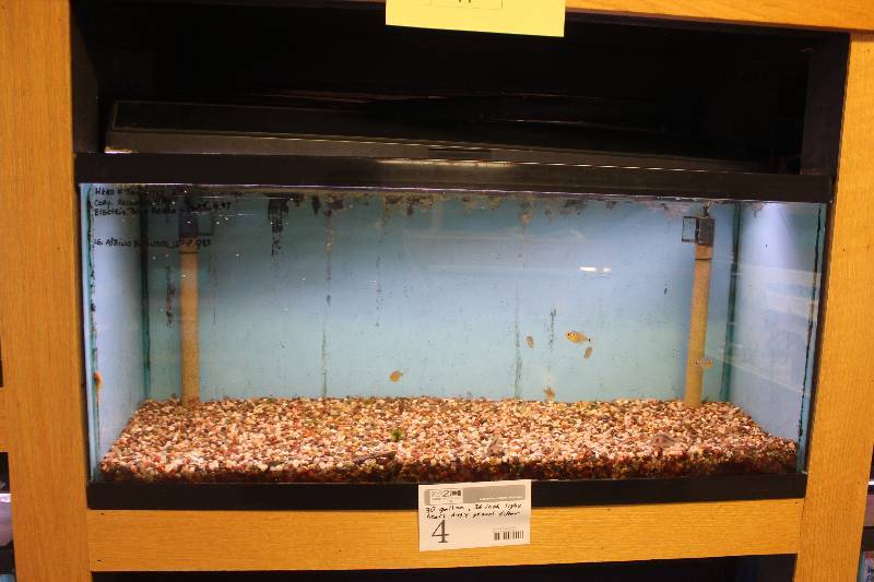 lot 4 image: 30-Gallon Aquarium w 36 Light, Glass Top, Undergravel Filter, and Gravel