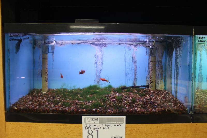lot 81 image: 15-Gallon Aquarium w Glass top, Light, Under-gravel Filter, and Gravel
