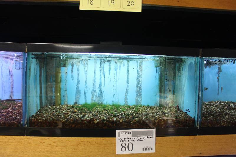 lot 80 image: 15-Gallon Aquarium w Glass top, Light, Under-gravel Filter, and Gravel