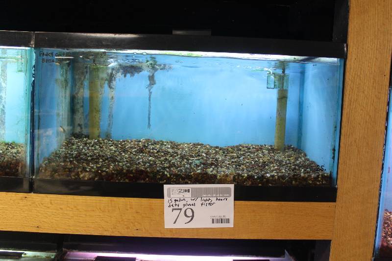 lot 79 image: 15-Gallon Aquarium w Glass top, Light, Under-gravel Filter, and Gravel