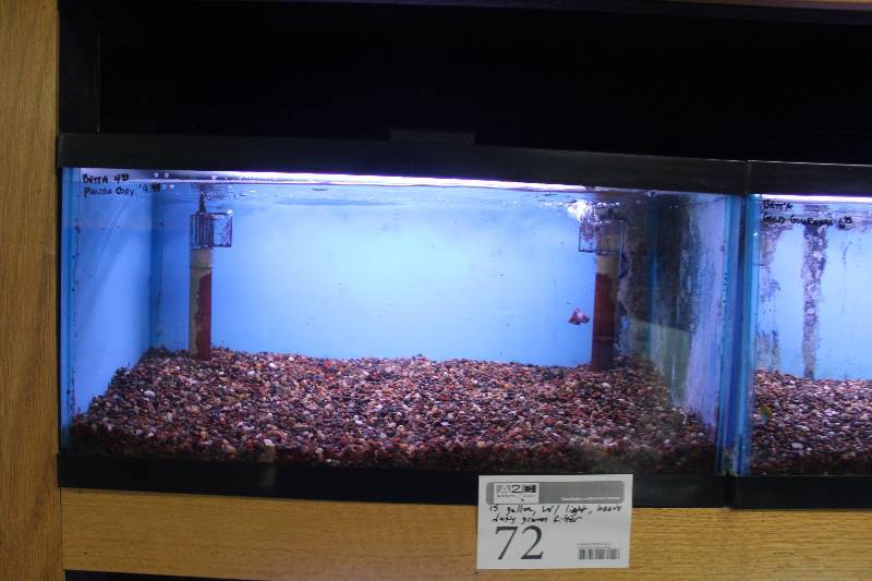 lot 72 image: 15-Gallon Aquarium w Glass top, Light, Under-gravel Filter, and Gravel