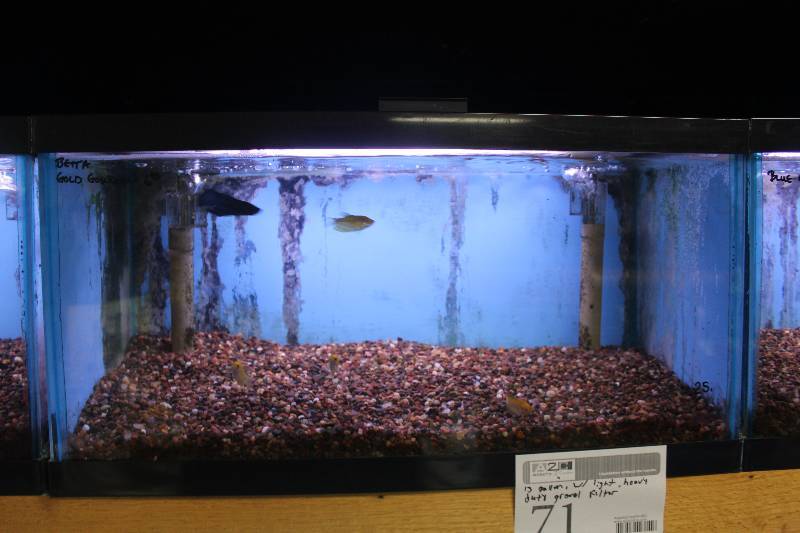 lot 71 image: 15-Gallon Aquarium w Glass top, Light, Under-gravel Filter, and Gravel