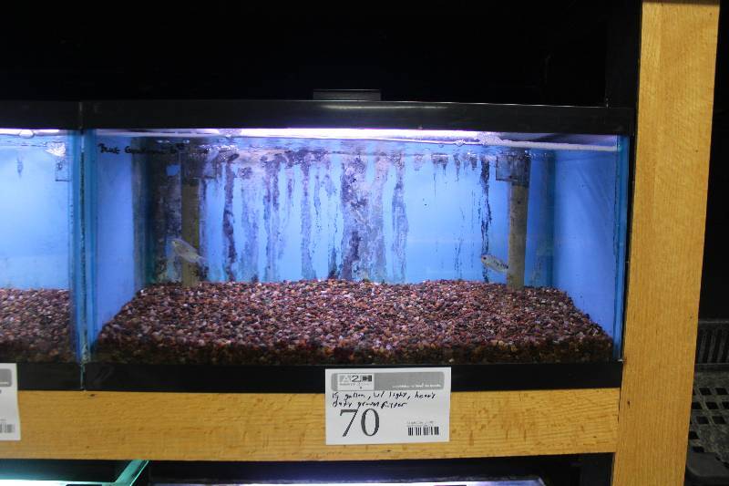 lot 70 image: 15-Gallon Aquarium w Glass top, Light, Under-gravel Filter, and Gravel