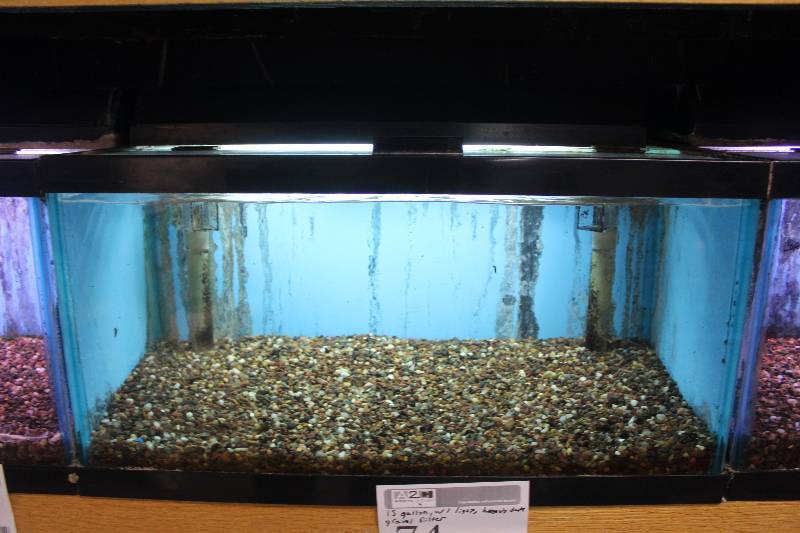 lot 74 image: 15-Gallon Aquarium w Glass top, Light, Under-gravel Filter, and Gravel