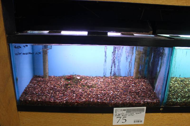 lot 75 image: 15-Gallon Aquarium w Glass top, Light, Under-gravel Filter, and Gravel