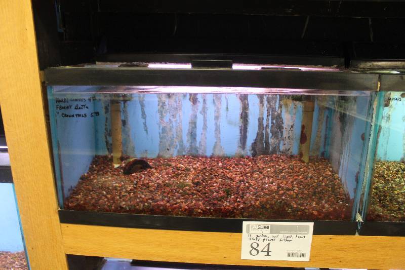 lot 84 image: 15-Gallon Aquarium w Glass top, Light, Under-gravel Filter, and Gravel
