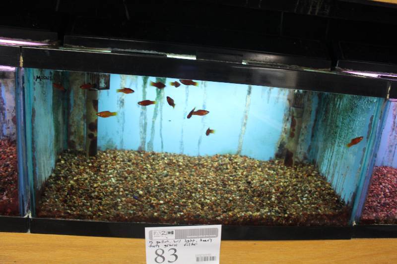 lot 83 image: 15-Gallon Aquarium w Glass top, Light, Under-gravel Filter, and Gravel