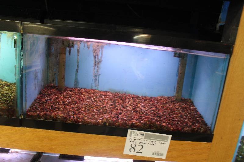lot 82 image: 15-Gallon Aquarium w Glass top, Light, Under-gravel Filter, and Gravel