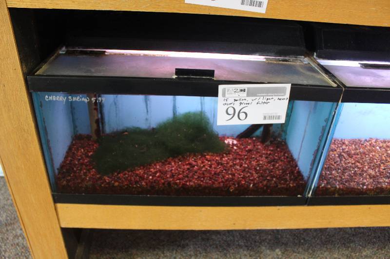 lot 96 image: 15-Gallon Aquarium w Glass top, Light, Under-gravel Filter, and Gravel