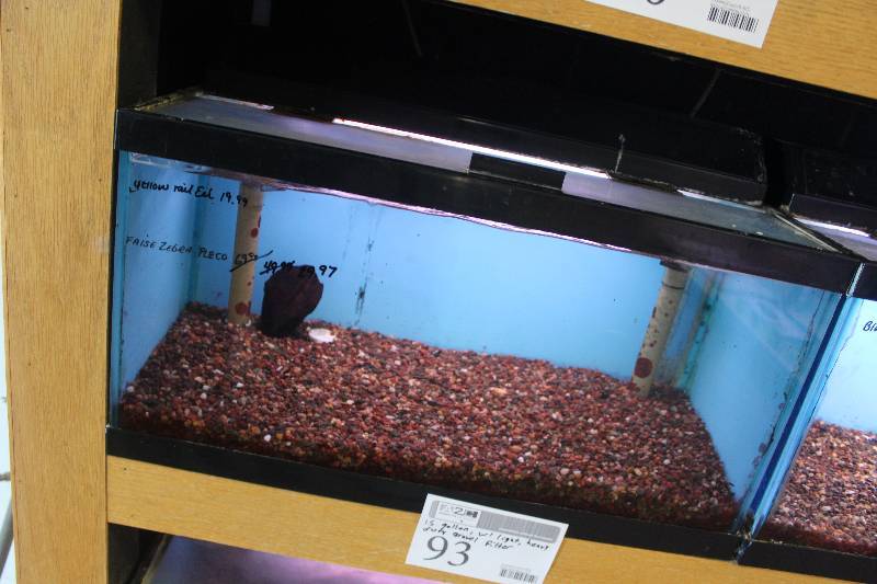 lot 93 image: 15-Gallon Aquarium w Glass top, Light, Under-gravel Filter, and Gravel