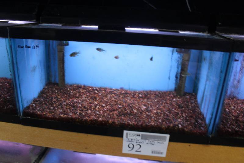 lot 92 image: 15-Gallon Aquarium w Glass top, Light, Under-gravel Filter, and Gravel