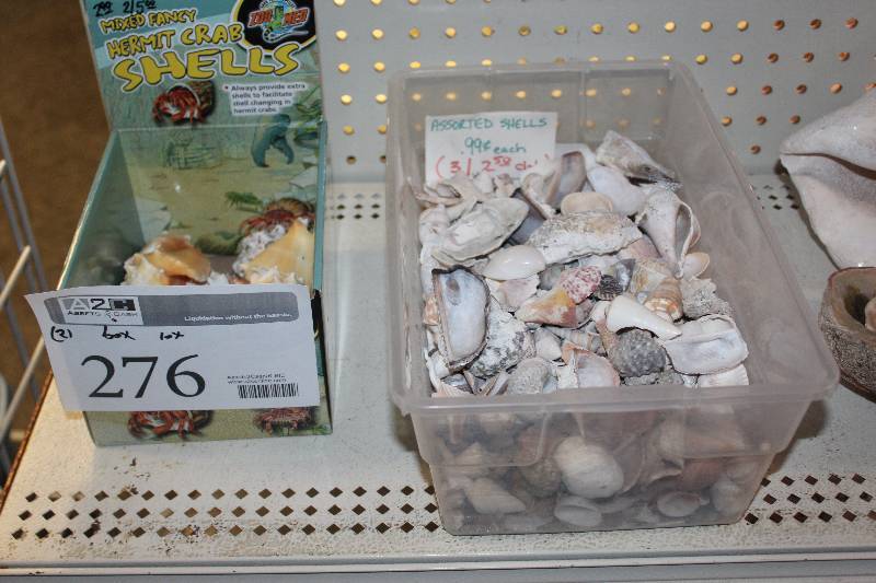 lot 276 image: Box Lot of Assorted Shells