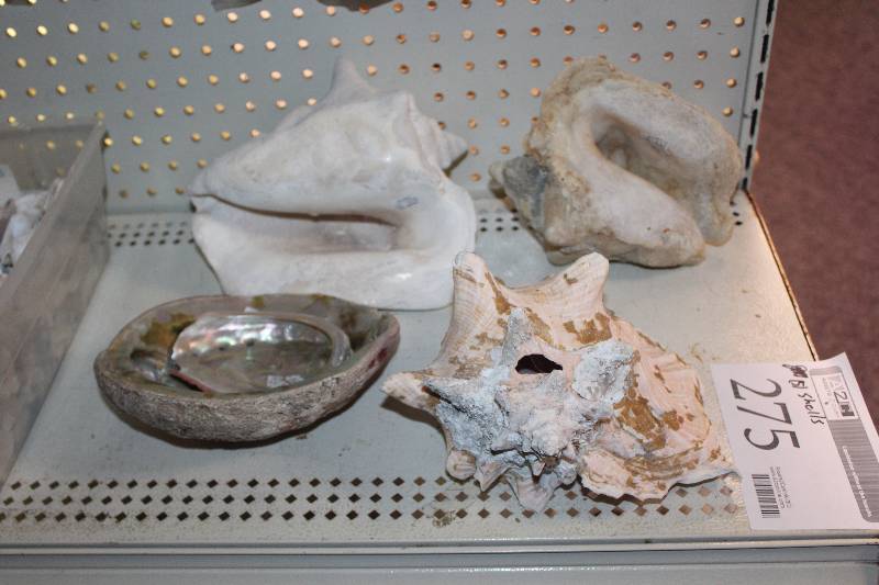 lot 275 image: Lot of (5) Shells