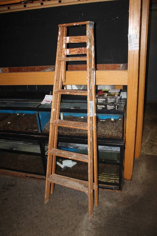 lot 287 image: 6-Step Wood Ladder