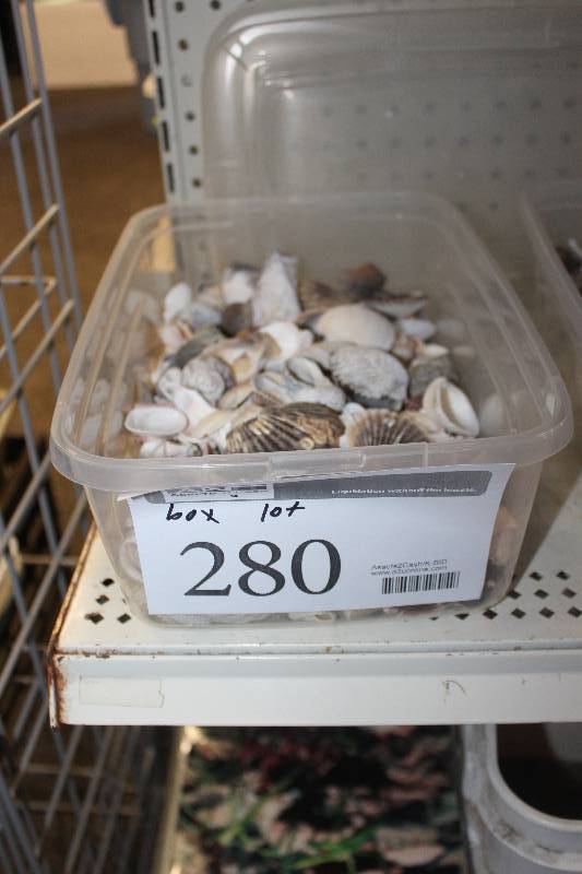 lot 280 image: Box Lot of Assorted Shells