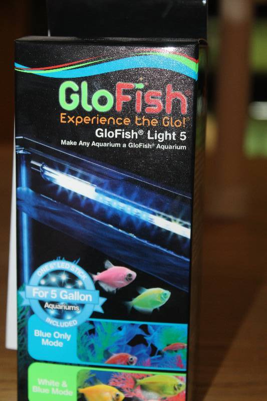 lot 262 image: GloFish Light 5