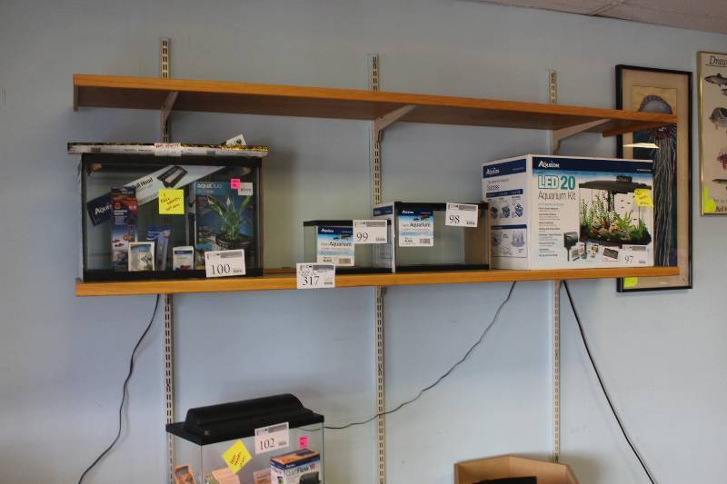 lot 317 image: Lot of Shelving & Standards Including 4) Shelves AND 6) Standards
