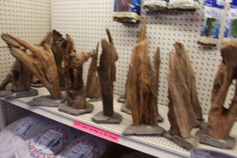 lot 268 image: Lot of (16) Mounted Driftwood