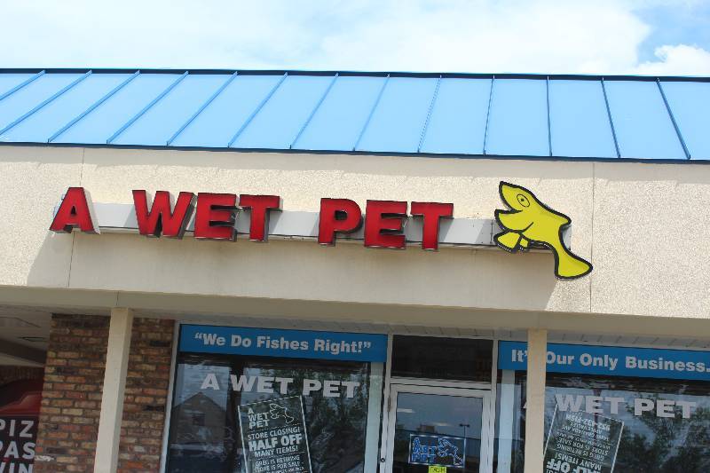 lot 10 image: A Wet Pet Outdoor Signage