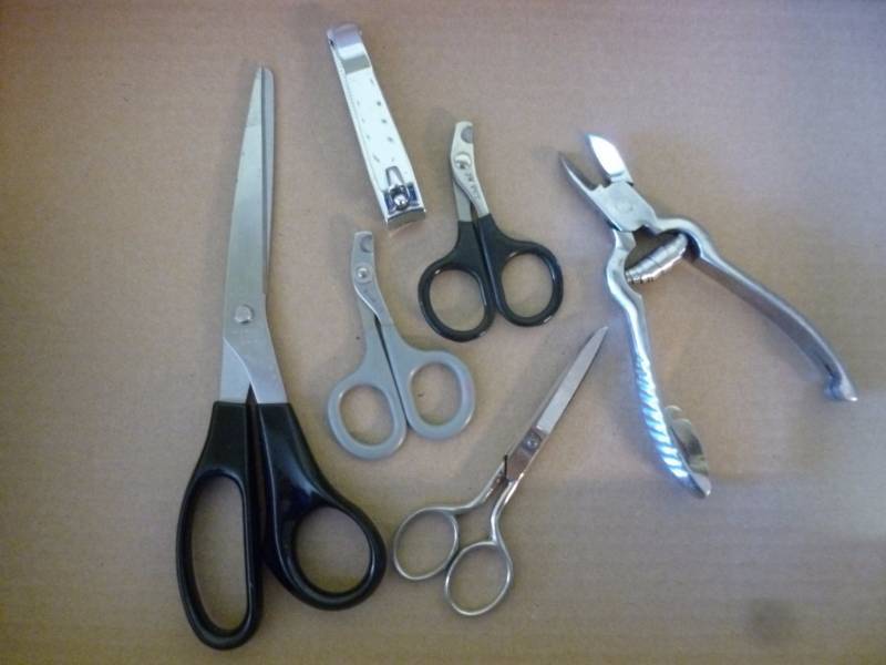 lot 295 image: Scissors