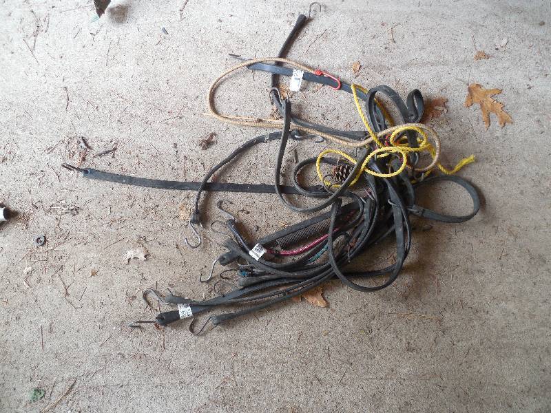 lot 20 image: RUBBER BUNGIE LOT