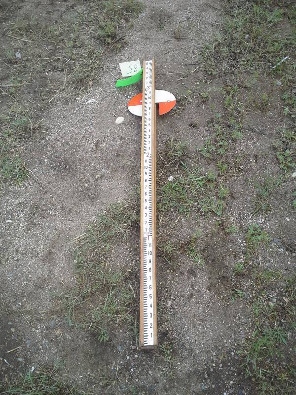 Surveying Ruler