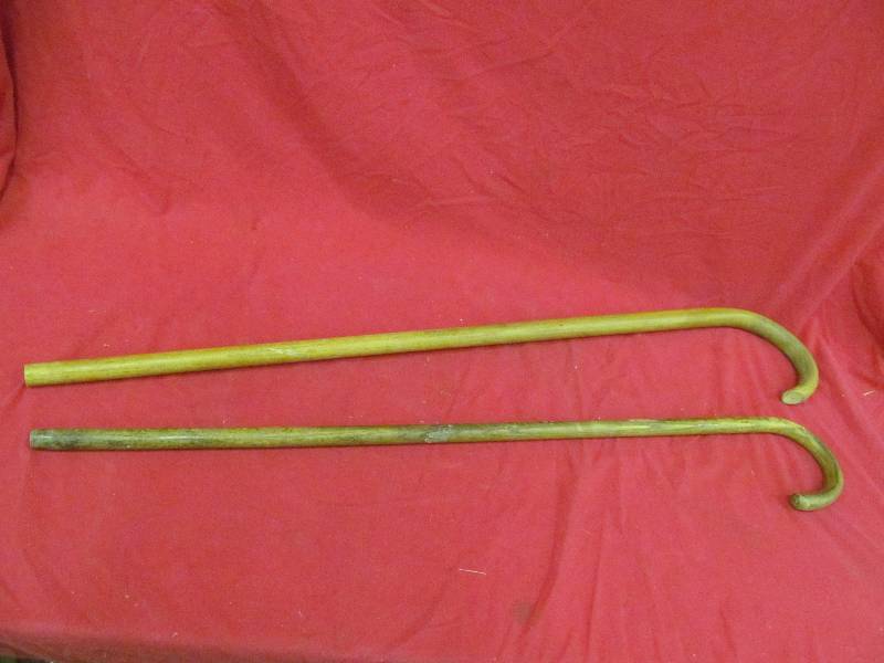 lot 26 image: canes
