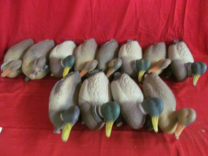 lot 193 image: Duck Decoys