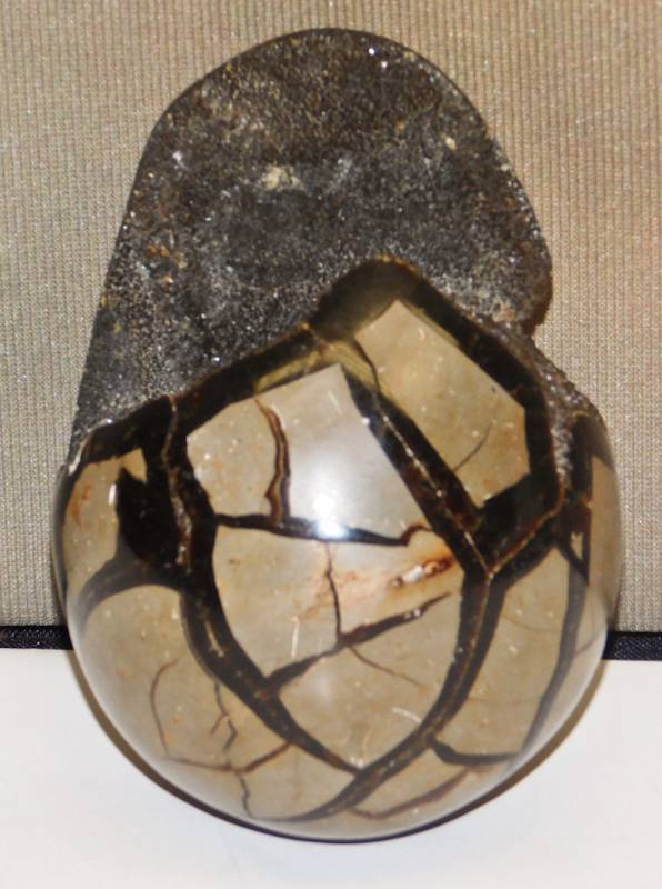 Black Septarian Dragon Egg