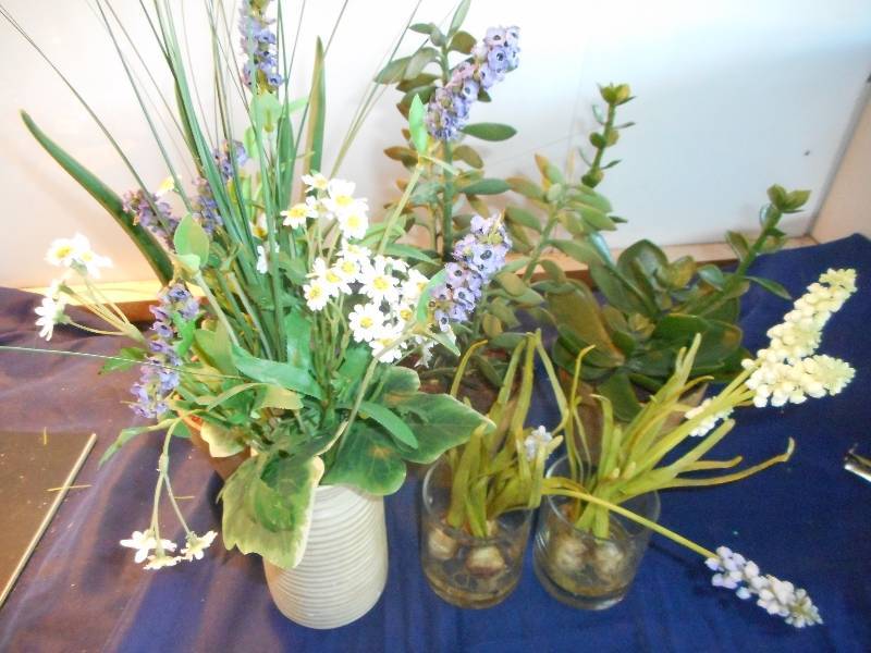 6 DECORATIVE PLANTS