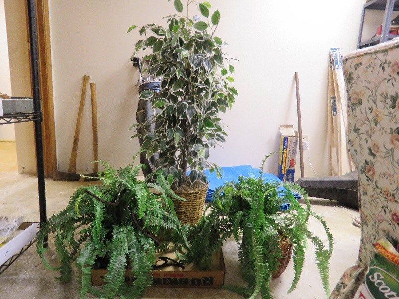 Artificial Plant Lot