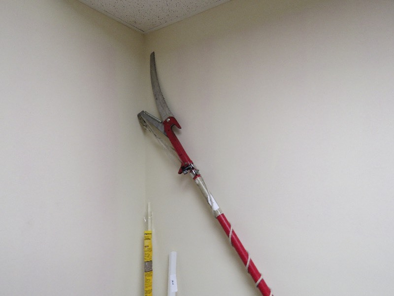 Craftsman 12 Tree Trimmer