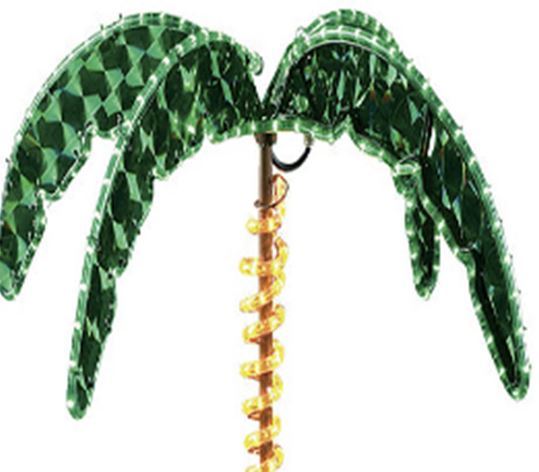 Holographic Palm Tree