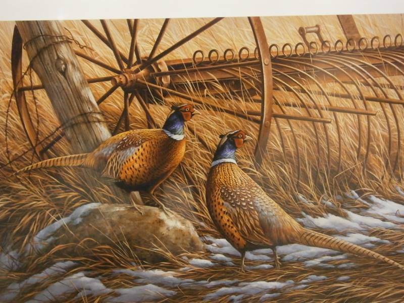 Rosemary Millette Heartland Artists Proof 93100